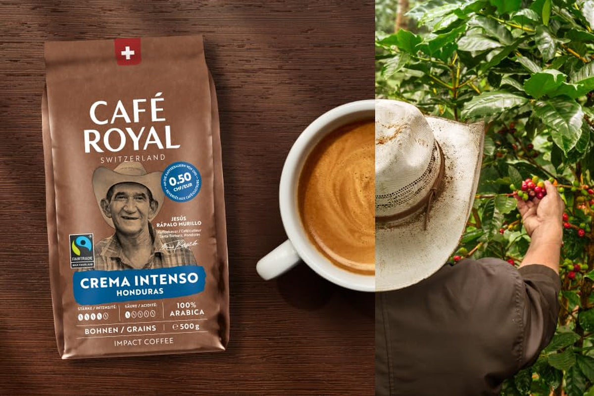 Café Royal Crema Intenso Honduras – Cafés à café 100 % Arabica, aromatiques intenses, rôtis foncés, étoiles 4/5, commerce équitable, 500 g de pots de fleurs