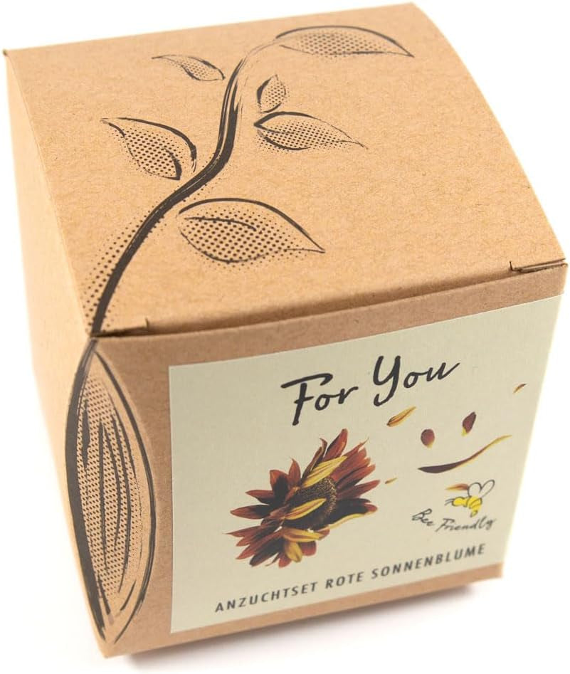 Kit cadeau de culture de plantes - Tournesol Sunset, comprenant des pots, un substrat et des instructions de culture