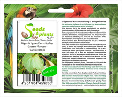 Stk - 10X Begonia Ignea Ziersträucher Garten Pflanzen - Samen ID340 -
