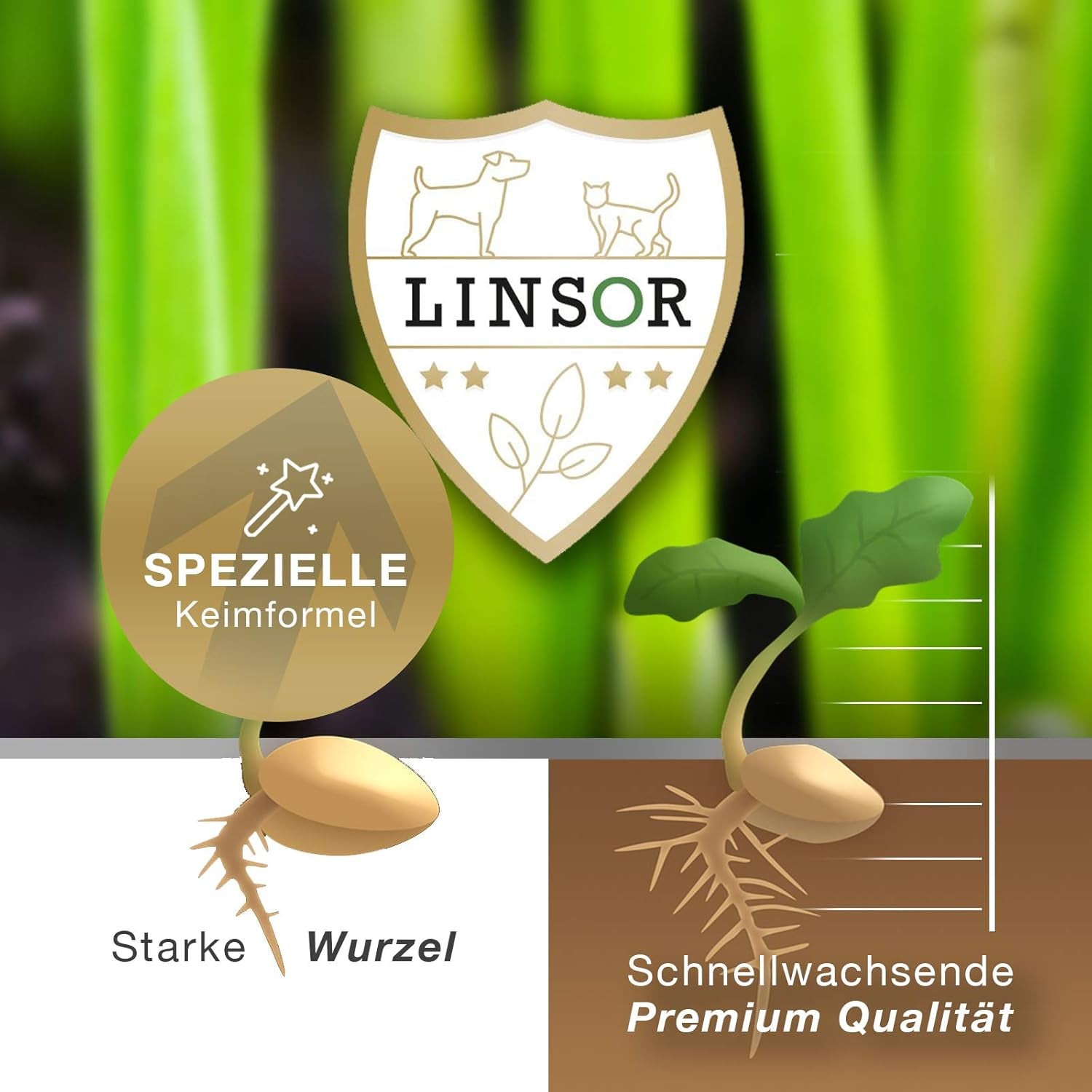 Universalrasen, 1Kg Für 25 M², Rasenmischung, Grassamen Sattgrün, Frühjahr Aussaat