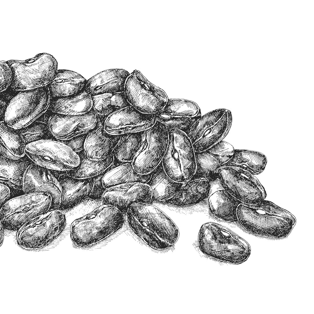 Sarrasin BioGourmet Demeter – Sachet 500g | Sans gluten, riche en fibres et régional | Issu de l'agriculture biologique allemande (Bade-Wurtemberg/Bavière) | Idéal pour le muesli, les salades et les accompagnements