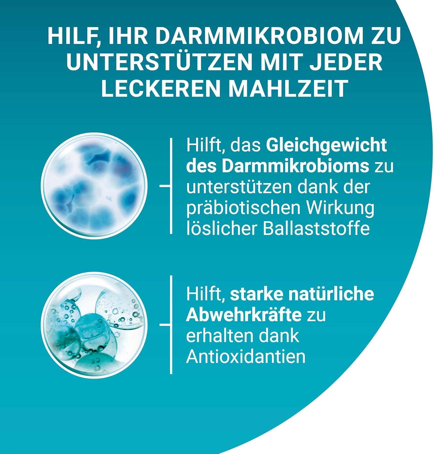 Hrană umedă pentru pisici PURINA ONE Indoor Formula, bucăți fragede în sos pentru pisici de casă, cu ton, pachet de 26 (26 x 85g)