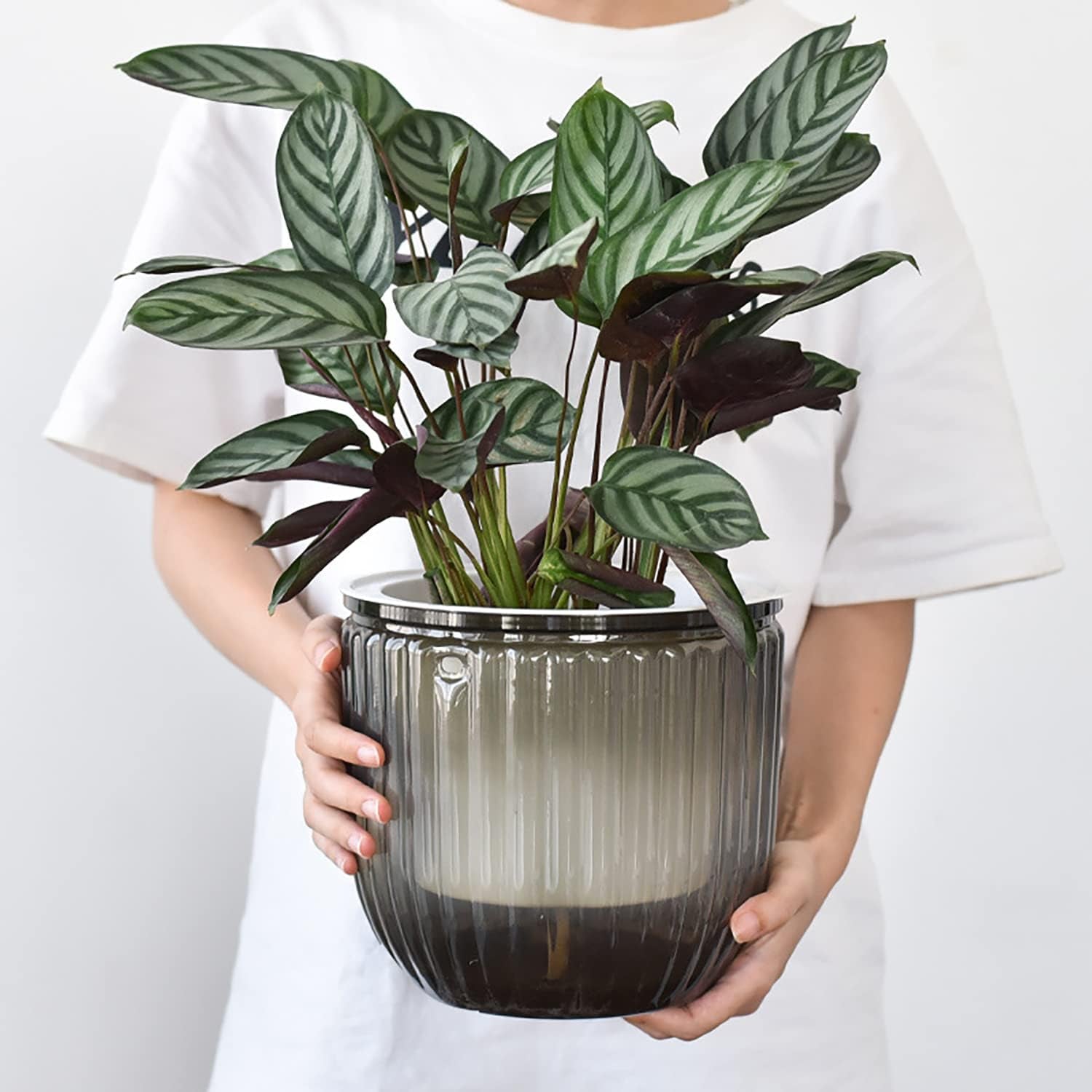 Lot de 2 jardinières suspendues à arrosage automatique, pot de fleur suspendu d'intérieur de 16,5 cm avec 3 crochets et trous de drainage pour une utilisation intérieure et extérieure, plafond, balcon et décoration murale (gris)