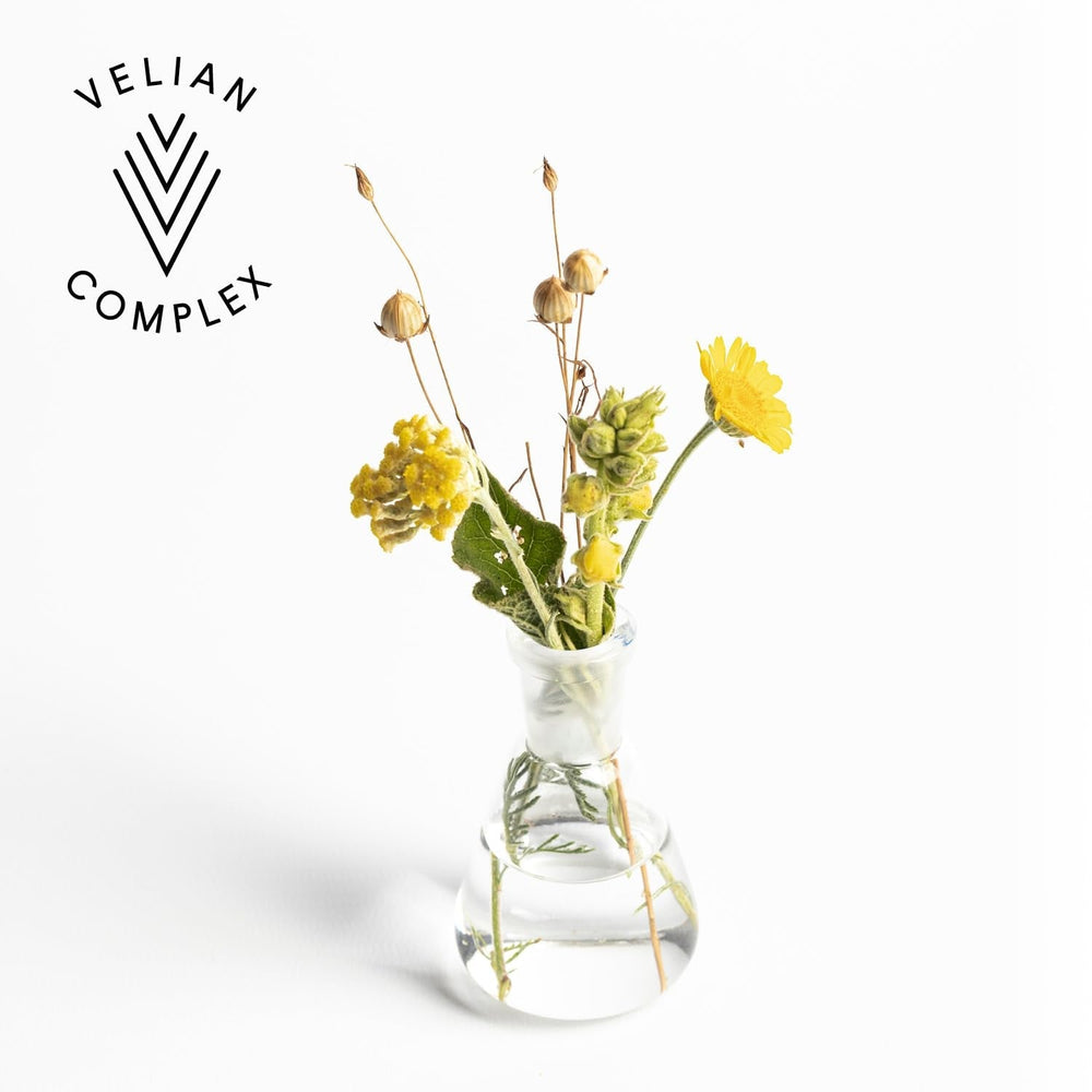 Kemon - Nourish Mask, masque nourrissant pour cheveux cassants, secs et bouclés, à base de beurre de karité, favorise le démêlage, pour cheveux doux, 200 ml Naty Shop Hair Mask