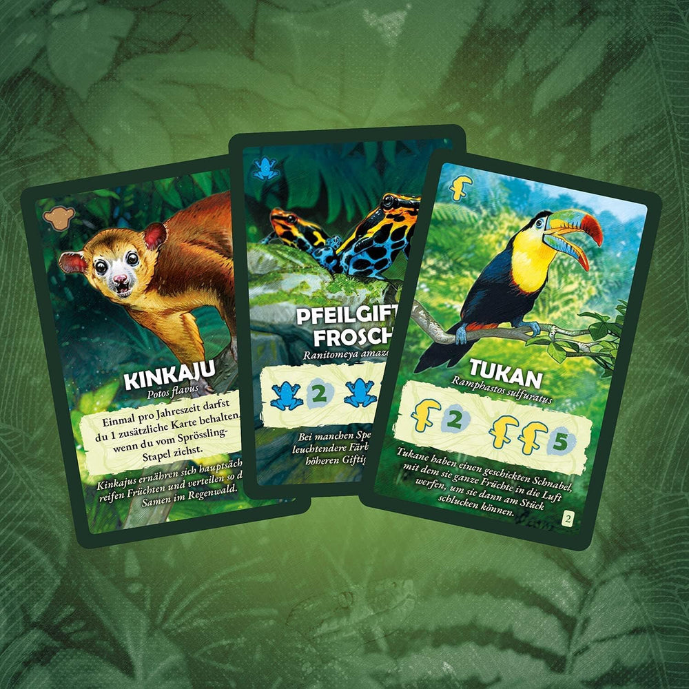 Kosmos 682194 Treetops, Under the Rainforest Canopy, jeu pour deux joueurs, jeu de société, jeu de société à partir de 10 ans sur la forêt tropicale, les arbres, les plantes et les animaux