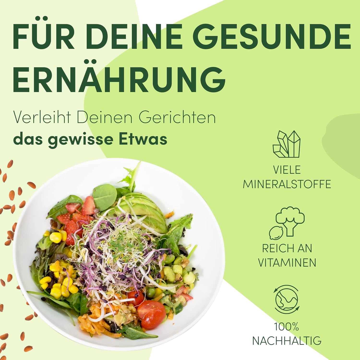 [Coffret de démarrage original avec pot à germer + passoire à cresson | 1000 ml avec support en maille d'acier inoxydable de haute qualité, plateau en céramique + ABC pour la germination [version imprimable] plateau de semis avec pot de germination