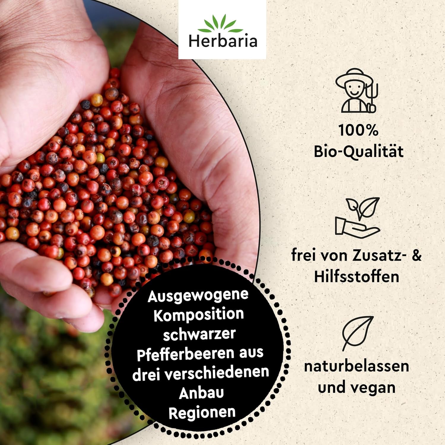 Herbaria Trio Noir bio 75g M-Dose – Bio Pfeffer schwarz ganz – ganze Pfefferbeeren – schwarze Pfeffermischung aus biologischem Anbau von trois verschiedenen Regionen - in nachhaltiger Aromaschutz-Dose