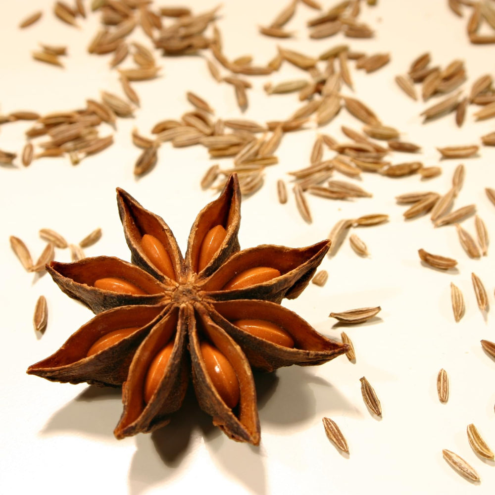 - Poudre de Gewürze Fünf, (1 X 50 GR)