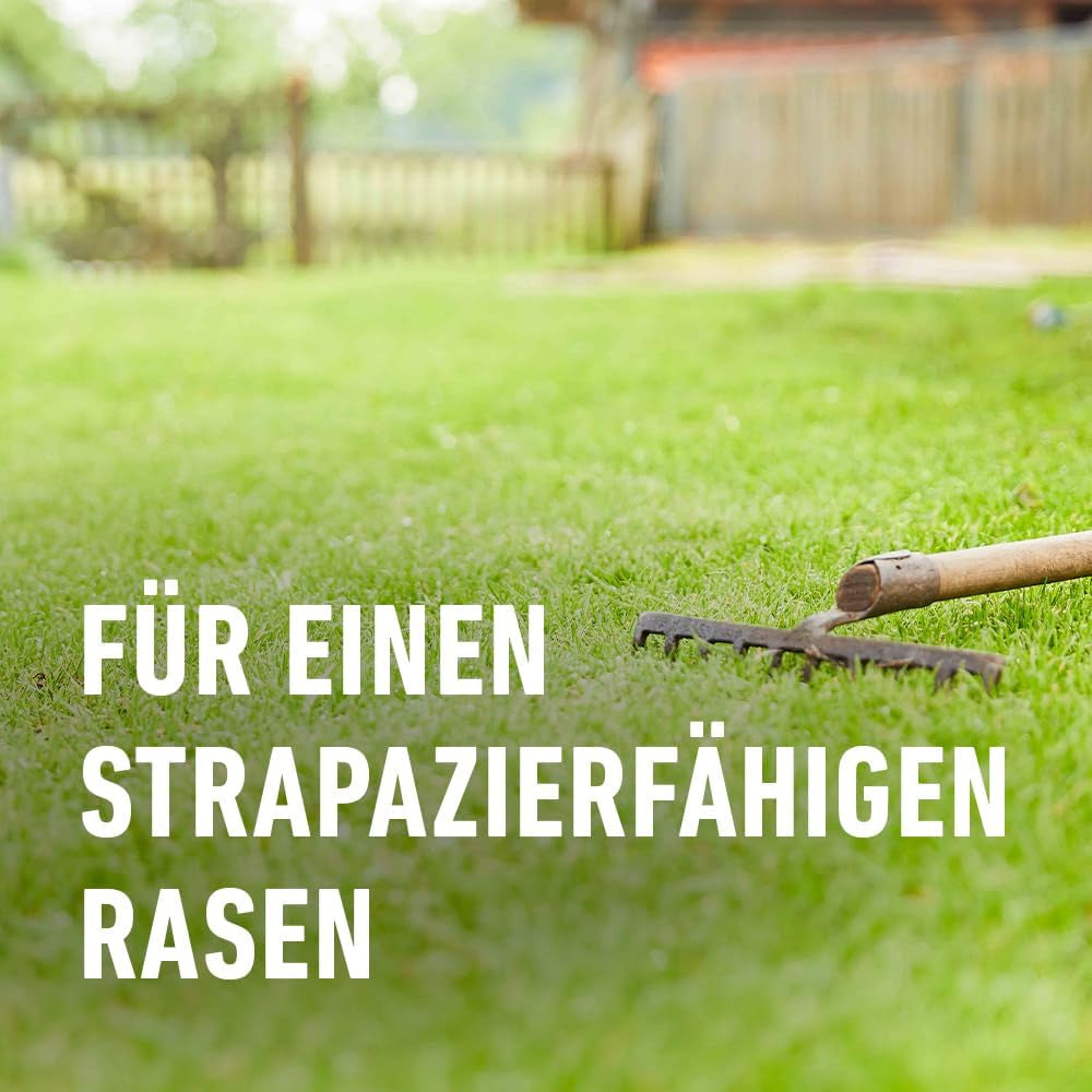 COMPO SAAT Strapazier-Rasen - Regenerationsstarker Strapazierrasen - Hochwertige Saatgutmischung Mit Premium-Mantelsaat - 2 Kg Für 100 M²