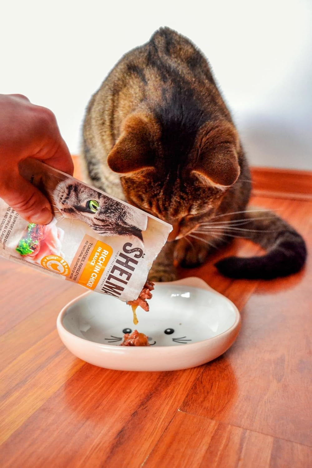 Shelma Katzen-Nassfutter mit Lachs in Sauce and Spirulina – Getreidefreies Alleinfuttermittel mit hohem Fleischanteil – 28 x 85 g (2,4 kg)