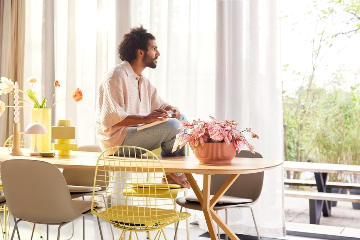 elho Vibes Fold Bowl 25 - Ghiveci de flori de interior - 100% plastic reciclat - Ø 24,9 x H 12,1 cm - Roz/Roz deschis