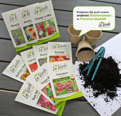 La Verde MON JARDIN ET MOI. Graines de pavot de Californie 'Poppy Orange' pour env. 250 plantes, pavot de Californie, graines à longue floraison, sans OGM