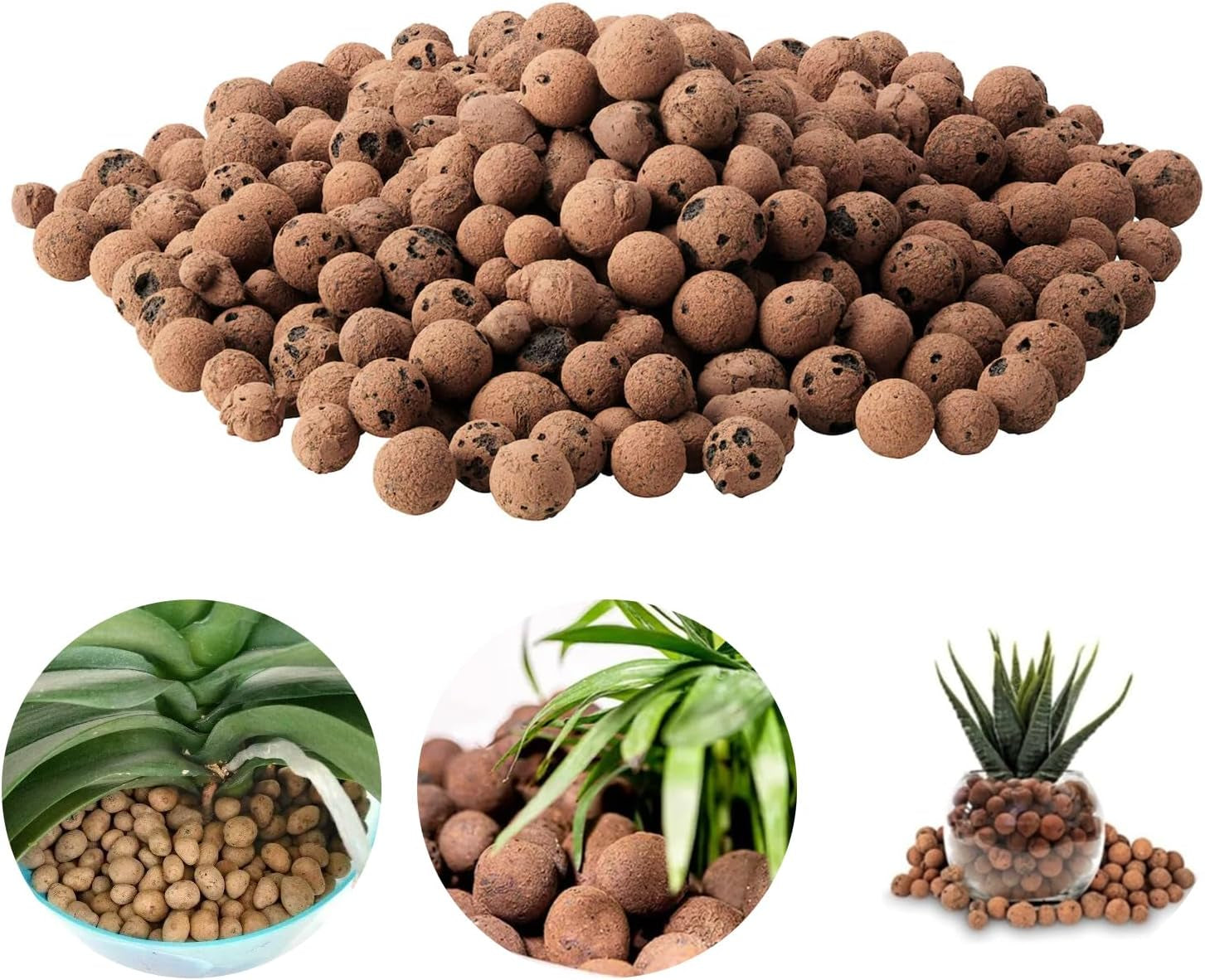 Granulés d'argile à gros grains, granulés d'argile expansée, granulés végétaux, substrat de plantation hydroponique d'argile expansée 1L, granulés d'argile de granulation de 5 à 8 mm