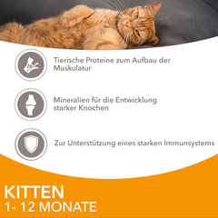 IAMS Delights Kitten Nassfutter - Multipack Katzenfutter mit Hunn in Sauce, Futter de haute qualité pour les enfants de 1 à 12 mois, 12 x 85 g
