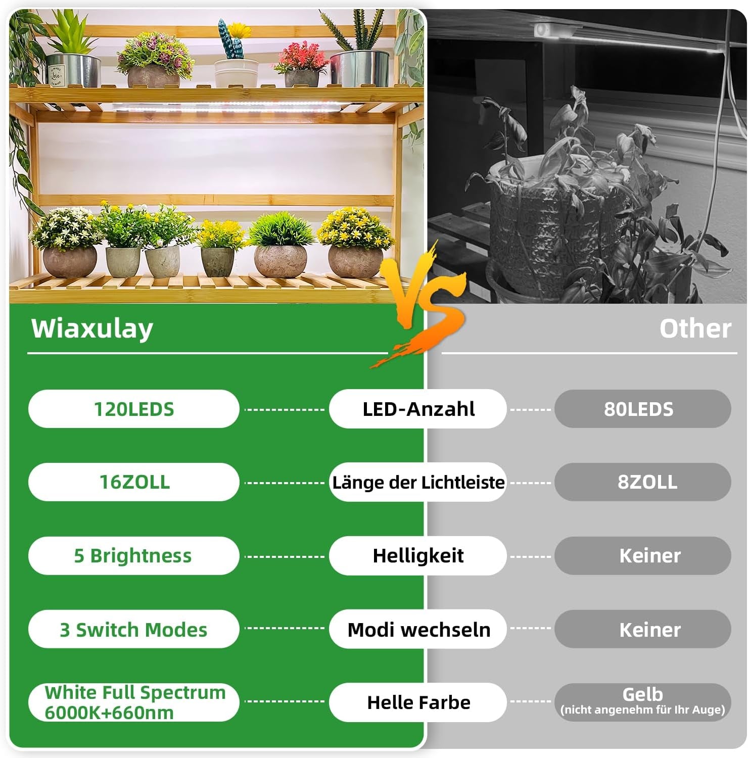 Wiaxulay Lampe LED à Spectre Complet pour Plantes 6000K à Spectre Complet pour Plantes d'intérieur avec minuterie de 6/12/16 Heures 5 Niveaux réglables pour étagère de Plantes succulentes hydroponiques 2 pièces