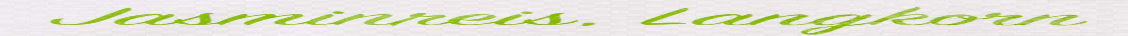 Riz parfumé RICEFIELD, grain long, 1 paquet (1 x 18 kg)