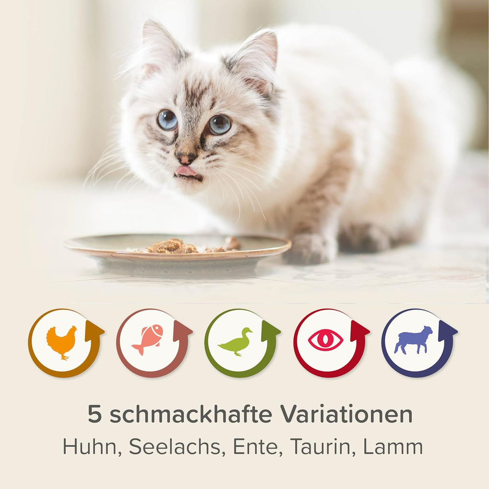 BEAPHAR – Nierendiät Mix Pack – Diätalleinfuttermittel Für Katzen Mit Chronischer Niereninsuffzienz – Zur Unterstützung Der Renenfunktion – 6X 100 g