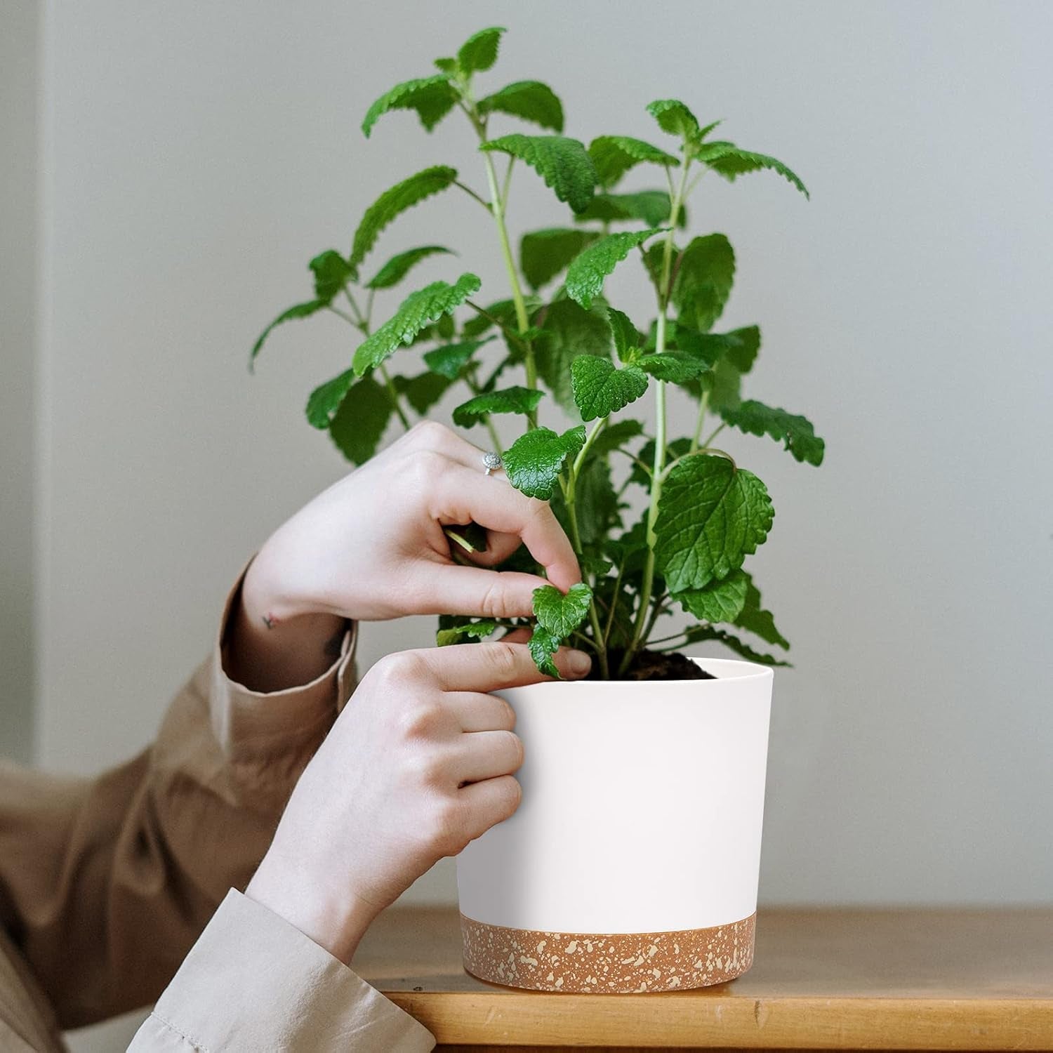 Lot de 2 pots de fleurs de 12,7 cm, pots de fleurs d'intérieur avec trous de drainage et base amovible, soucoupes décoratives modernes pour jardinières d'extérieur (blanc 12,7 cm)