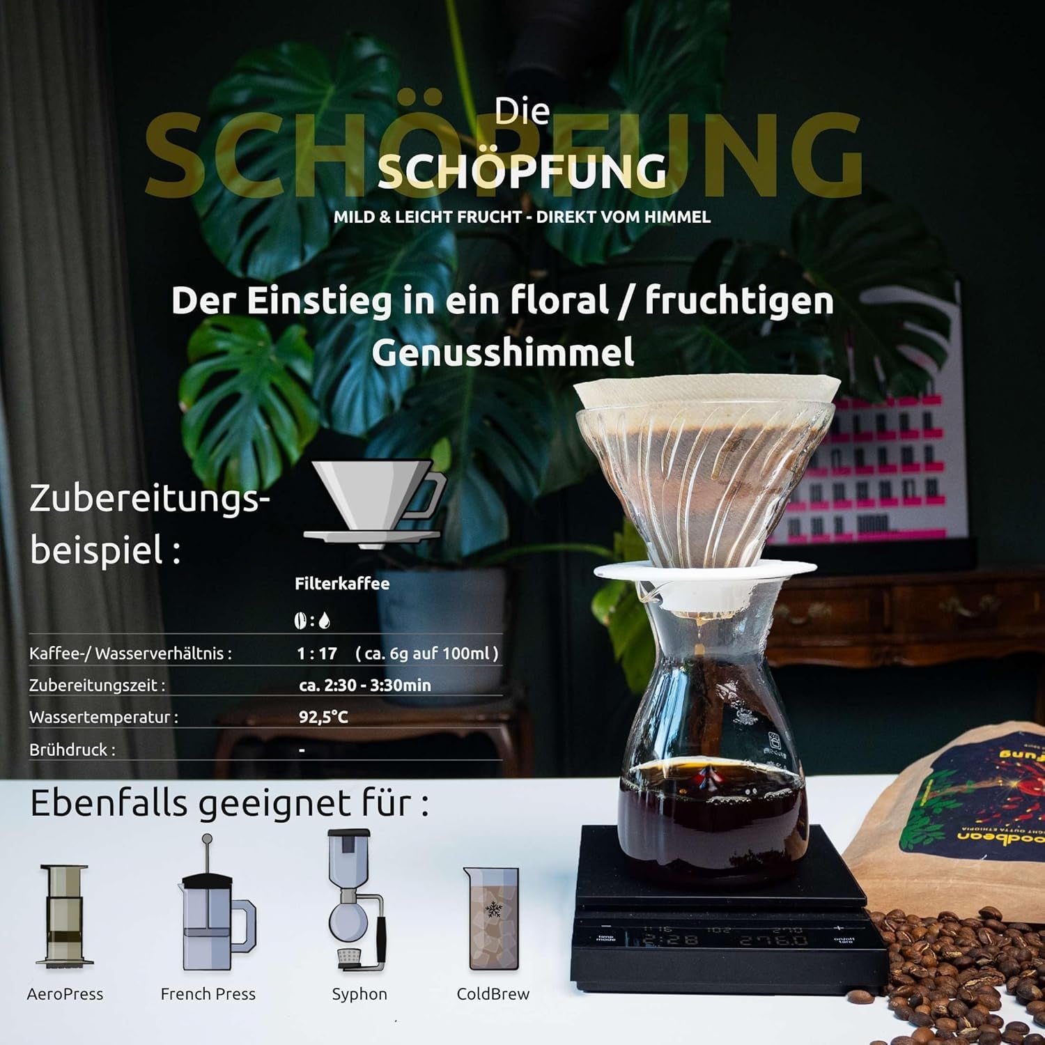 Die Schöpfung bleu, fruité, fin Säure | doux et harmonieux Kaffeebohnen | 500g | 100% Arabica | Éthiopien - Yirgacheffe | frisch geröstet | Versand direct aus der Rösterei | Torréfaction moyenne