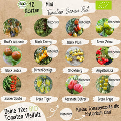 Ensemble de mini graines de tomates biologiques : 12 variétés de tomates cultivées librement | Graines de Tomates Cerise et Beefsteak Rares et Familiales | Graines de légumes pour balcon, plate-bande surélevée, jardin et cadeau | Plantes d'amour