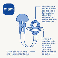MAM Anneau de dentition, 2 mois et plus, soulagement immédiat en cas d'éruption ultérieure, extra léger et facile à saisir et à tenir, avec boucle, facile à nettoyer, neutre, 1 pièce