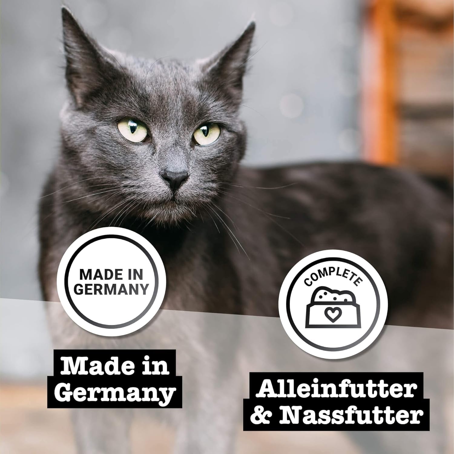 Nourriture humide pour chats Catz Finefood Purrrr avec monoprotéine et saumon no. 105, pour chats à digestion sensible, 16 x 80 g