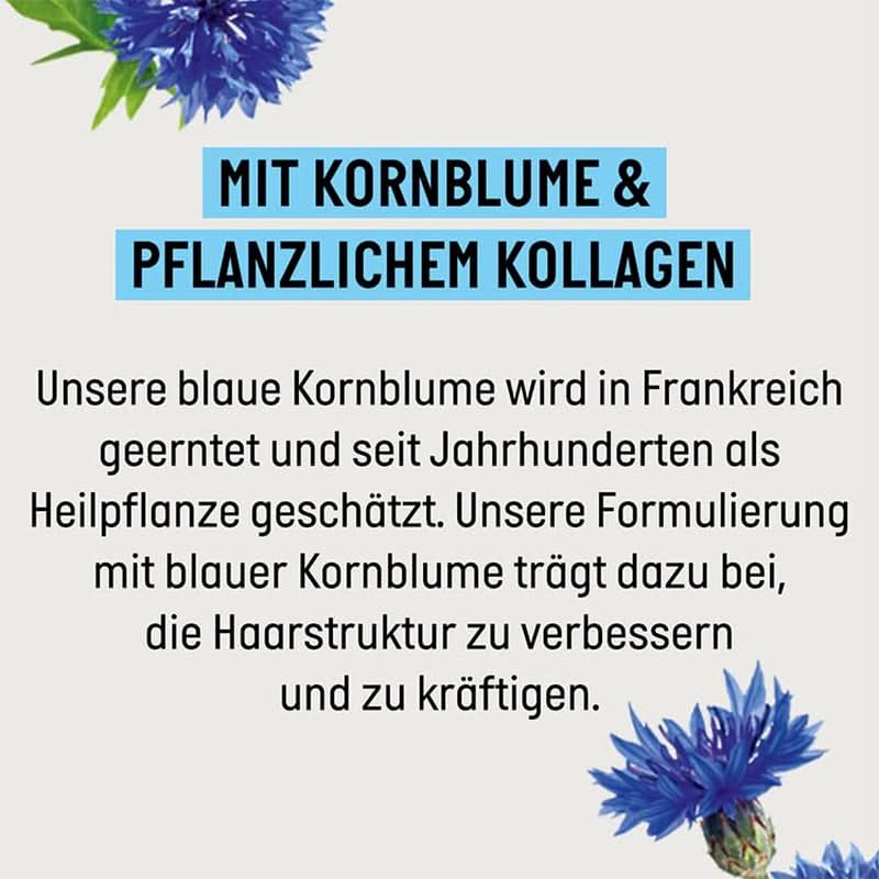 Guhl Shampoing Volume Longue Durée - 250 ml Naty Shop