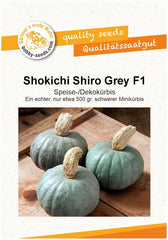 Shokichi Shiro Grey F1 Kürbissamen Von Bobby-Seeds, Portion