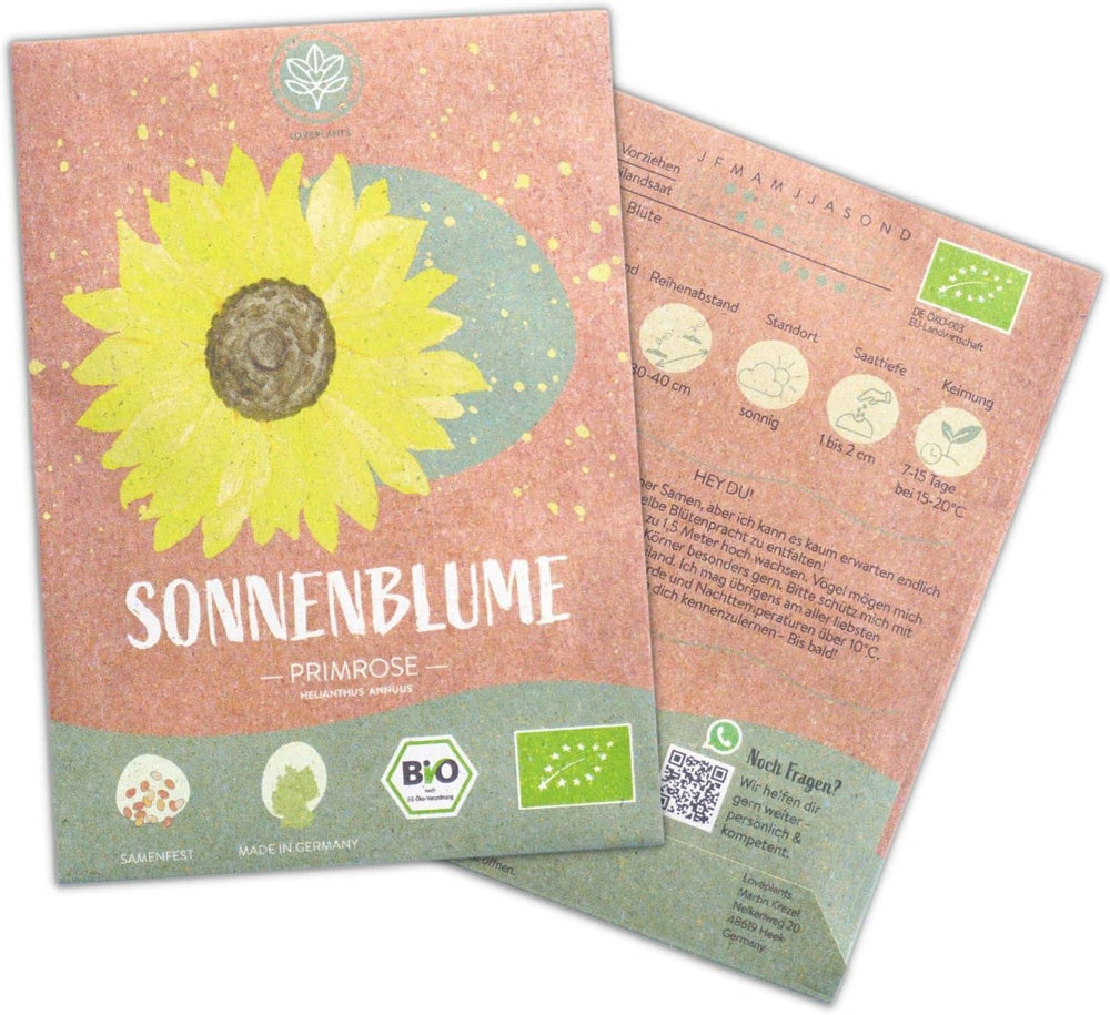 Graines de tournesol biologiques, ramifiées, 20 graines de tournesol à taux de germination élevé, graines de tournesol pour le jardin, le balcon, le parterre de fleurs ou comme cadeau d'invités. Graines de fleurs pollinisées gratuites.