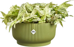 elho Vibes Fold Bowl 25 - Ghiveci de flori de interior - 100% plastic reciclat - Ø 24,9 x H 12,1 cm - Verde/Ferngrün