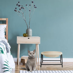 Couvertures et meubles, Animaux, Hamac, Chats, Lits pour chats, Chats - lits, matelas