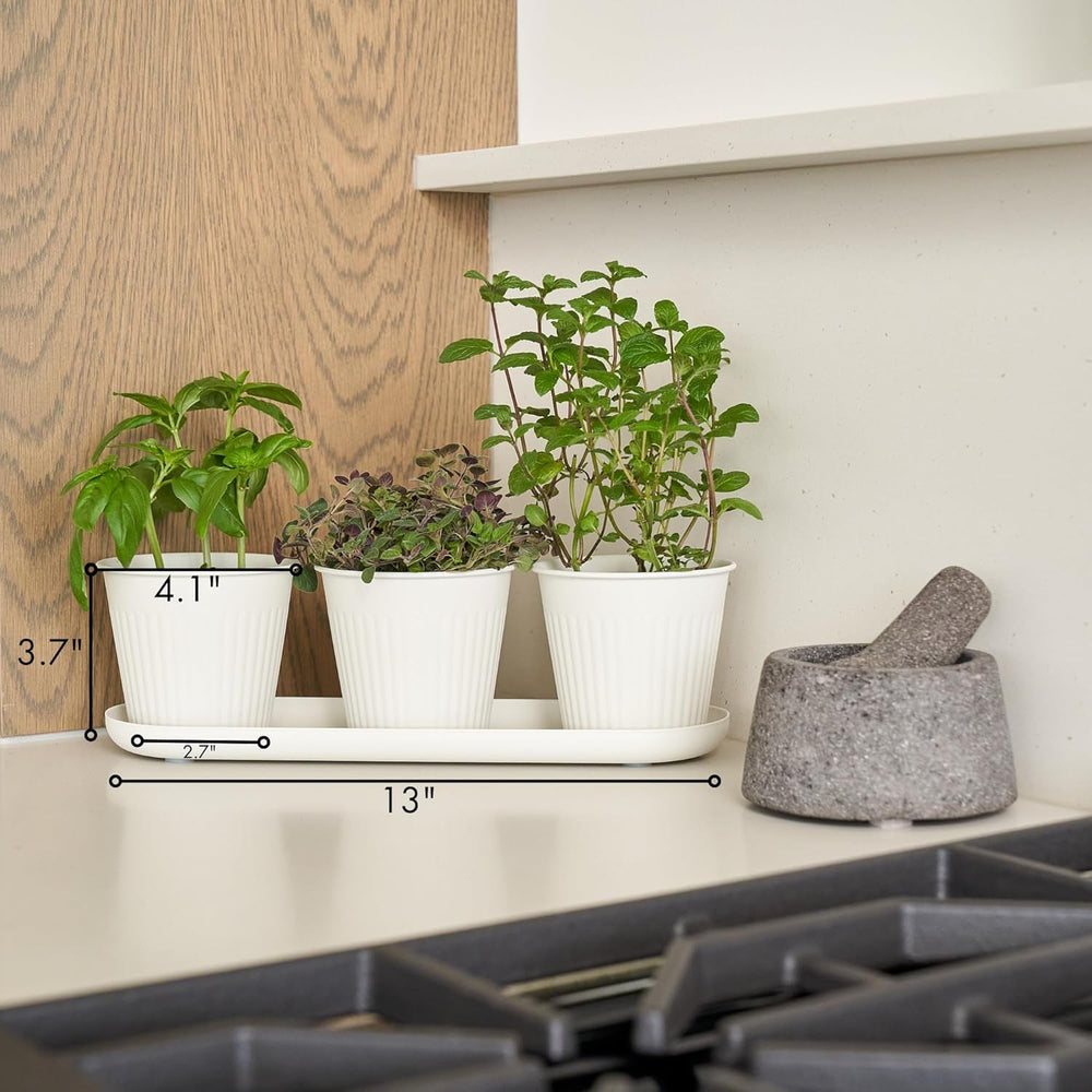Ensemble de 3 magnifiques pots de jardin d'herbes aromatiques, parfaits pour n'importe quel rebord de fenêtre ou comptoir de cuisine, un ensemble de jardinières décoratives modernes comprenant un plateau et...