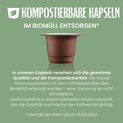 Caffè Vergnano 1882 - Café expresso compostable, compatible avec Nespresso, Cremoso (crémeux) - Packung Enthält 100 Kapseln