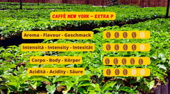 New York Coffee - EXTRA P - Café en grains, goût fort et décisif, grains Arabica et Robusta, à moudre, expresso italien, mélange de bar - qualité premium depuis 1930 - 1 kg, grains