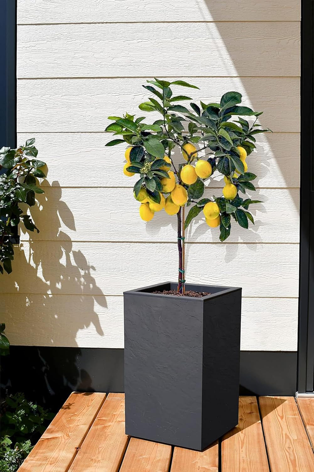 Ghiveci Volcania'Up, pătrat, înalt, 36 l, aspect piatră, perete simplu, rezervor de apă, 29,5 x 29,5 x 49,5 cm, gri antracit