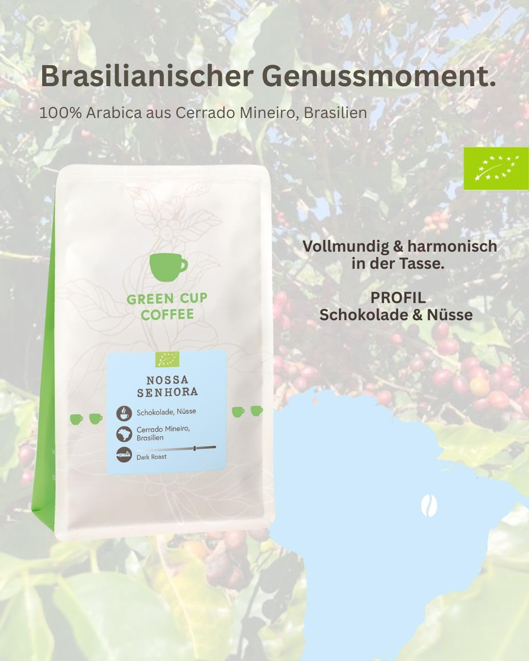 Coffee - Nossa Senhora I 100% Arabica I Kaffeebohnen 250g I Ideal für Moka kanne, Siebträger, Vollautomat, Brühkaffee und French Press mit schokoladig, nussigen Aromen I dunkle Röstung
