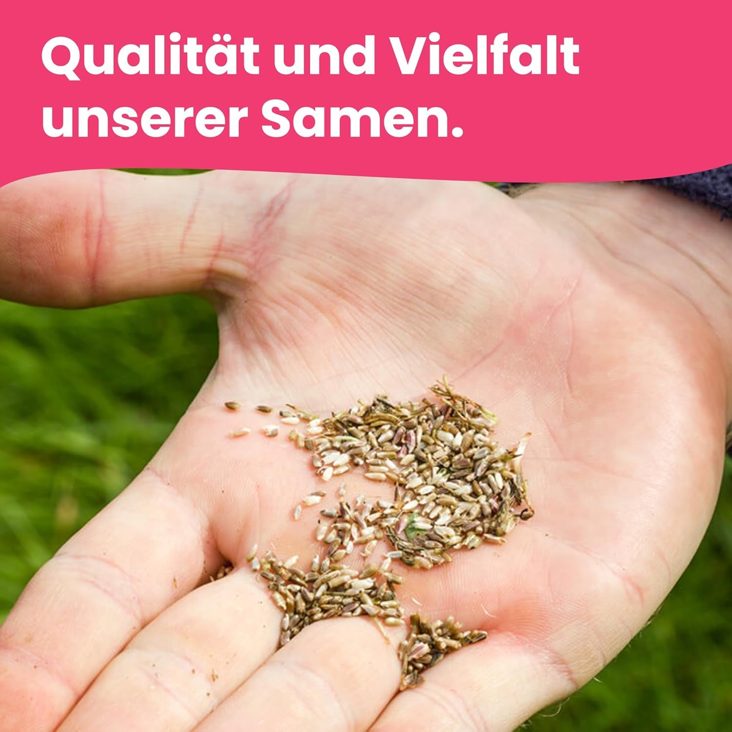 Graines de fleurs LERAVA (12 variétés) - plantes vivaces résistantes à l'hiver - graines de jardin et de balcon - germination rapide pour un semis facile - mélange de fleurs nécessitant peu d'entretien pour une floraison continue