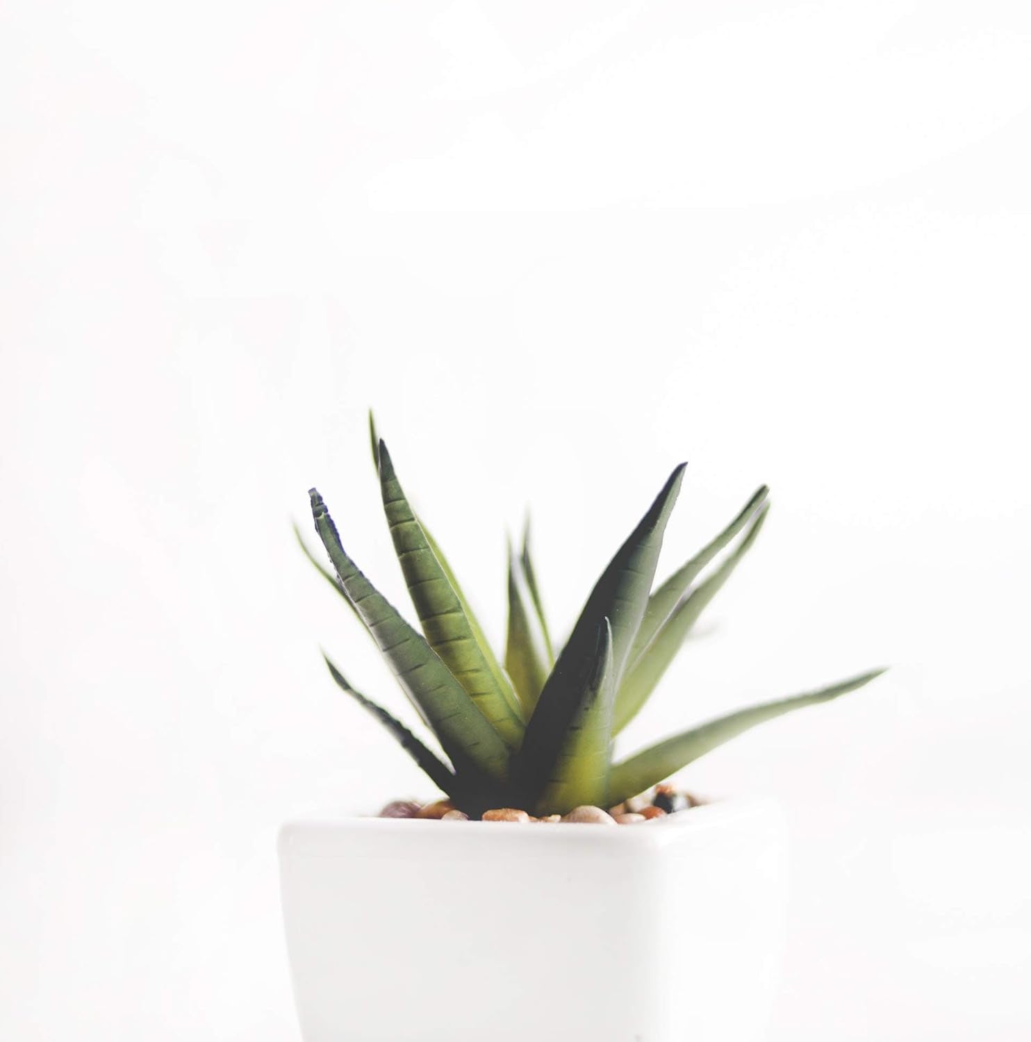 1 L Lewatit HD-50 Granulés d'engrais hydroponique à long terme de haute qualité, parfaits pour toutes les plantes ornementales, effet à long terme jusqu'à 6 mois