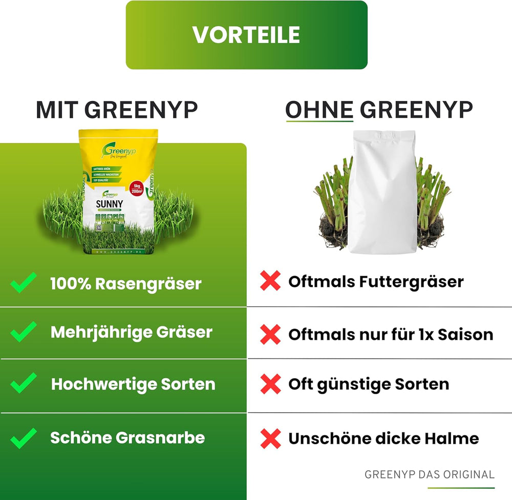 Greenyp® Sunny I Dürreresistenter Trockenrasen I 0,2Kg Für 10M² I Grassamen Rasensamen Rasensaat Gras Nachsaat Schnellkeimend