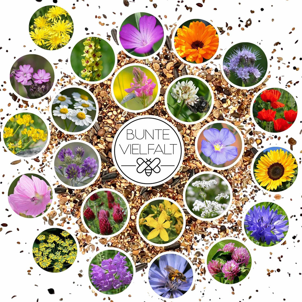 100 G Blumensamen Für 100 Qm Blumenwiese Bienen Booster Im Eigenen Garten Ein- Und Mehrjährig (Blumen-, Kräuter- & Kulturartensamen) Für Ein Bienenparadies Insektenfreundlich