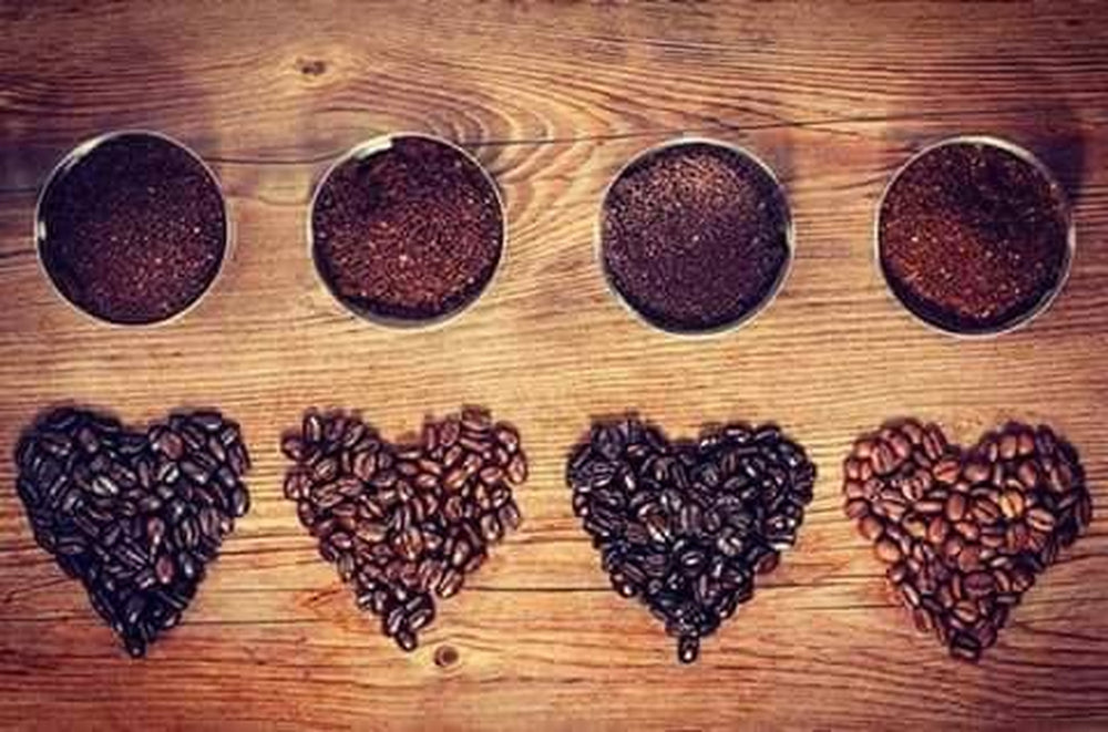 Café Arabica mexicain Procurador 1000g