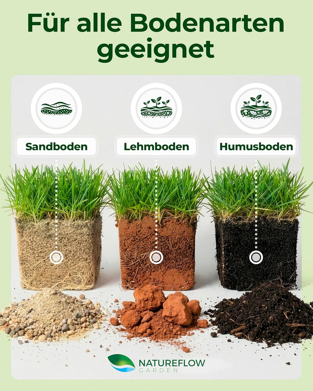 Rasensamen Schnellkeimend Frühjahr – TEST SEHR GUT – Grassamen Schnellkeimend Für Rasen & Rasen Nachsaat 10Kg 400Qm – Rasensaat Für Nachsaat Rasen Frühjahr, Saisonstart, Kräftiges Wachstum