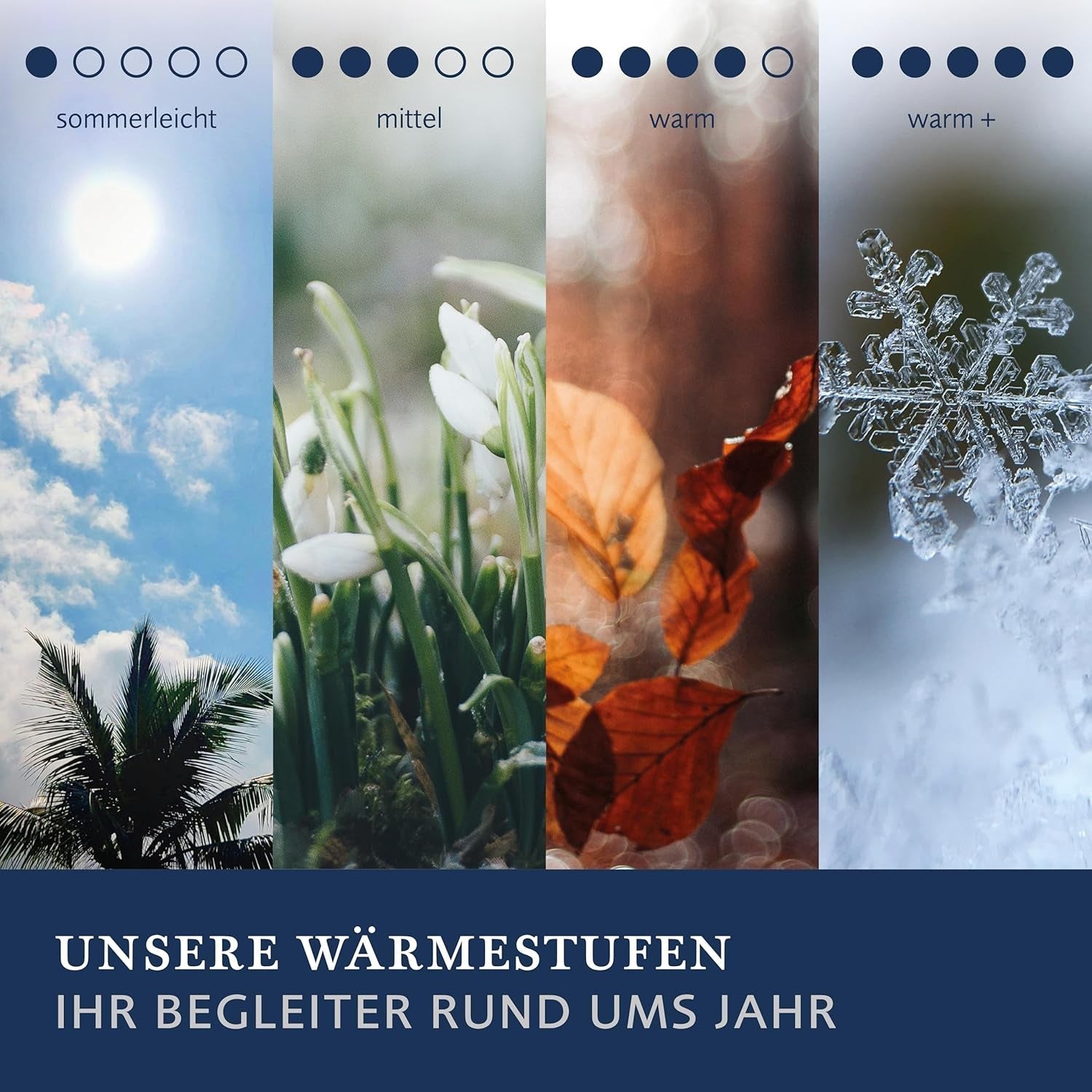 Couette en duvet Billerbeck - E04 Gold Edition - Couette toutes saisons - 135 X 200 Cm Couette en duvet véritable - Chaleur moyenne Couettes et couettes Naty Shop