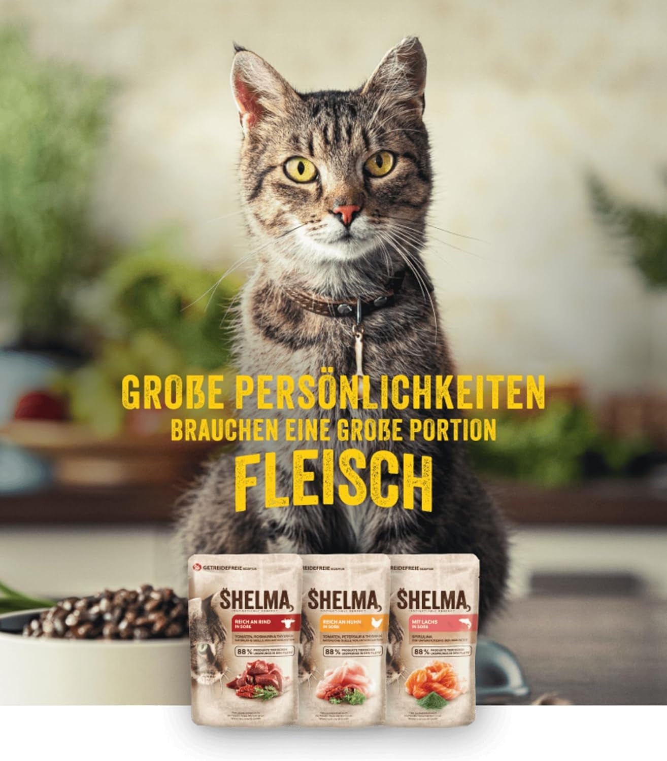 Shelma Katzen-Nassfutter mit Lachs in Sauce and Spirulina – Getreidefreies Alleinfuttermittel mit hohem Fleischanteil – 28 x 85 g (2,4 kg)