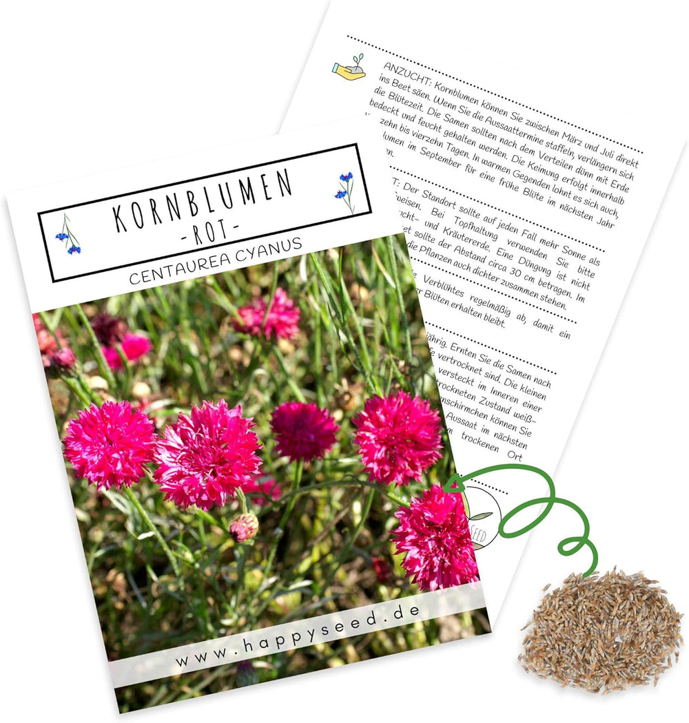 Graines de Centaurea cyanus - Fleurs magnifiques et vibrantes avec une longue période de floraison pour une prairie fleurie colorée (Mélange, 1000 graines, 80 cm)