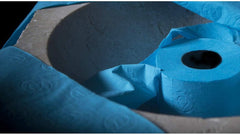 Papier toilette RENOVA, bleu, coffret cadeau, 2 rouleaux (200064206)