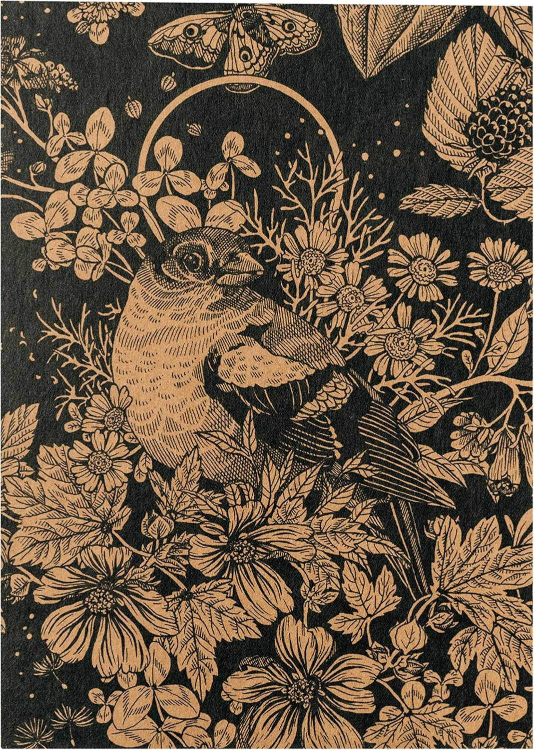 Nos plantes préférées : Plantes vivaces et fleurs d'été pour les amateurs de fleurs (biologiques) - Coffret cadeau de graines avec 6 jolies variétés pour une explosion florale sauvage - vous rend heureux !