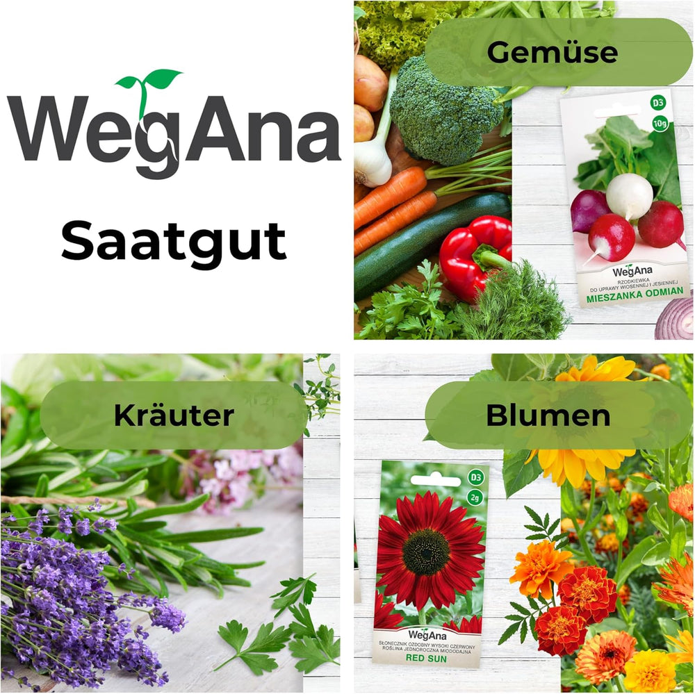 Cosmos Sensation Mix 1g graines, Cosmos Mix Fleurs d'été, Plantes de jardin Plantes de balcon, Graines de fleurs