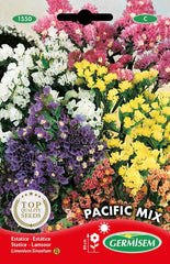 Statique, multicolore, EC1550