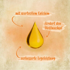 Ida Plus - GoldenEgg 200 ml - Brucheier & Federfressen réduits - Federwachstum & Federkleid - Wichtige Mineralien & Vitamine für Hühner - Beste Eierqualität bei Ihrer Hühnerhaltung